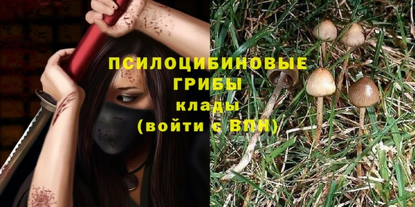 spice Баксан