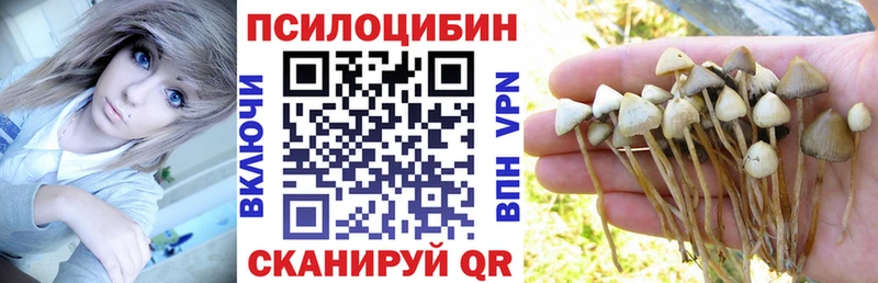 купить  сайты  mega ССЫЛКА  Псилоцибиновые грибы мицелий  Нефтекумск 